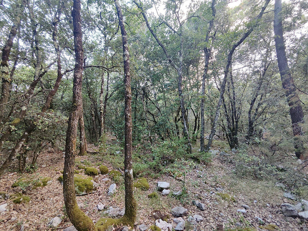 Terrain à CHATEAUDOUBLE