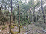 Terrain à CHATEAUDOUBLE