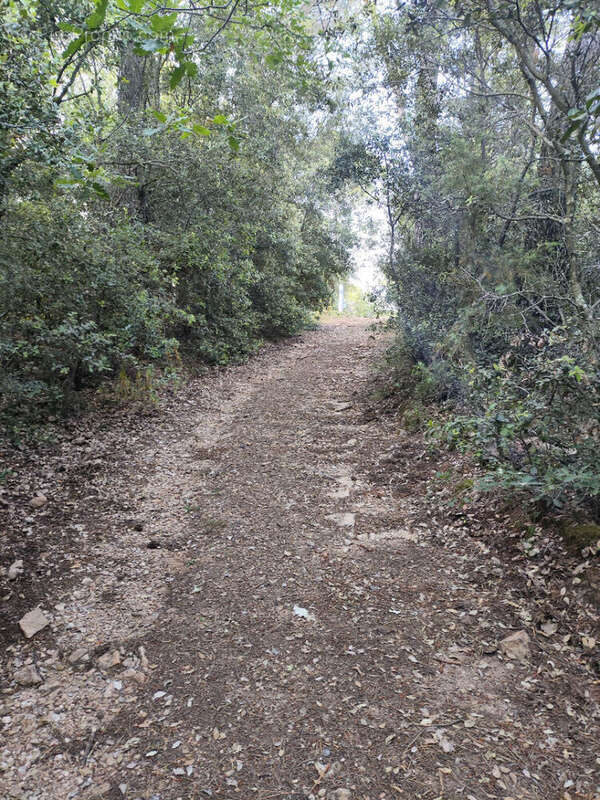 Terrain à CHATEAUDOUBLE