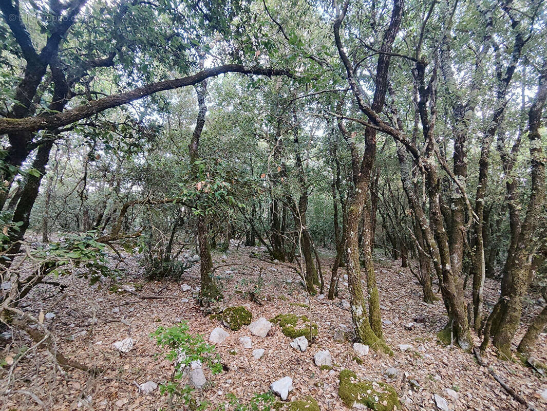 Terrain à CHATEAUDOUBLE