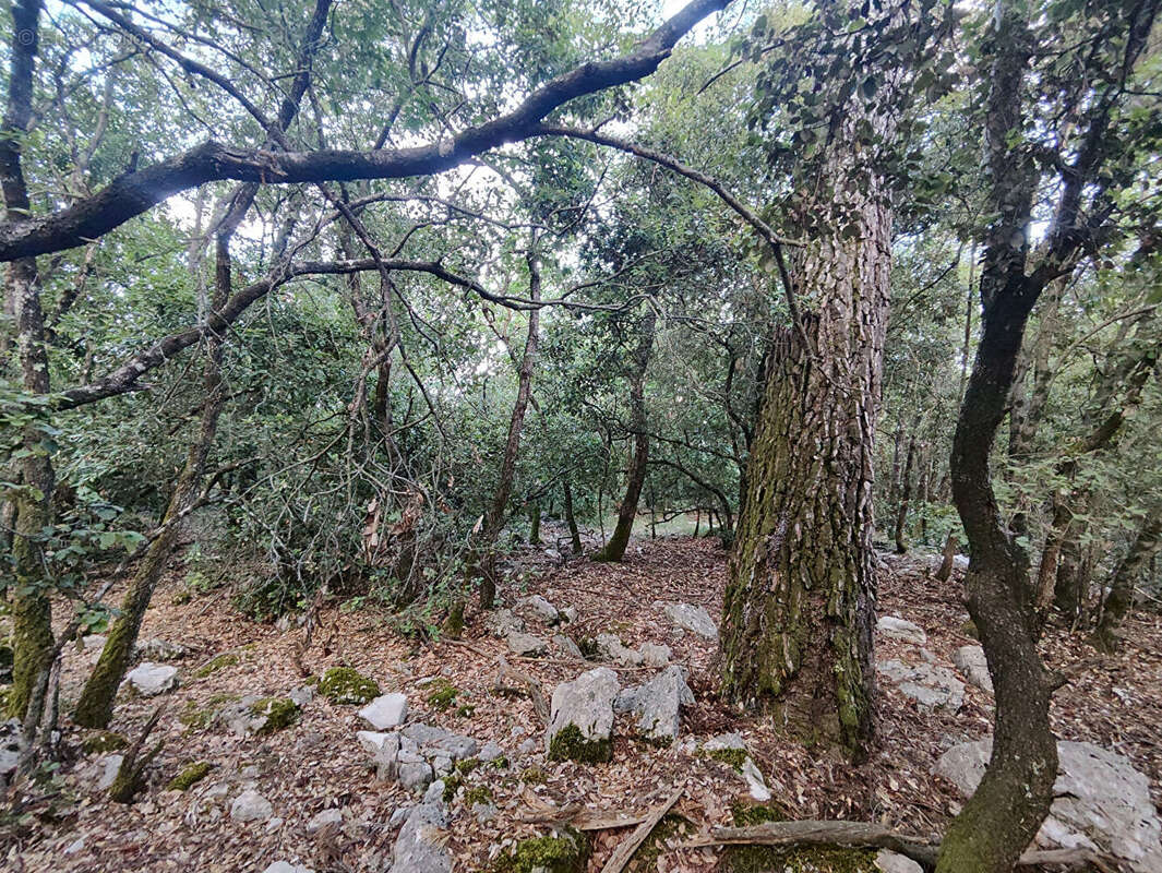 Terrain à CHATEAUDOUBLE