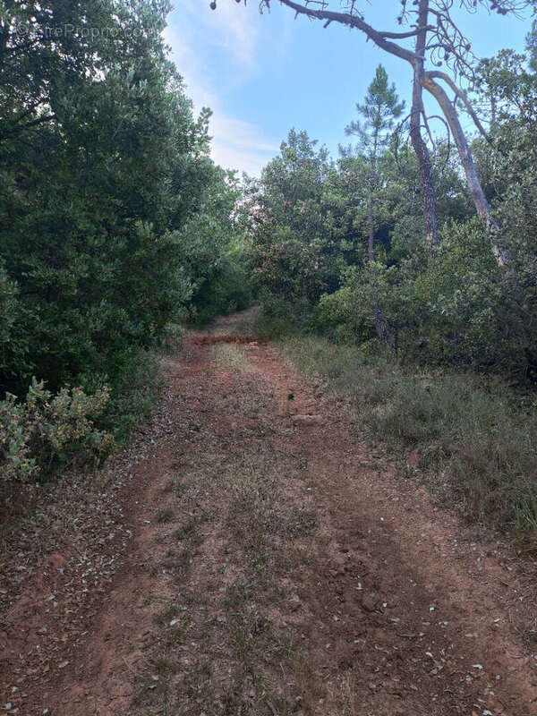 Terrain à CHATEAUDOUBLE