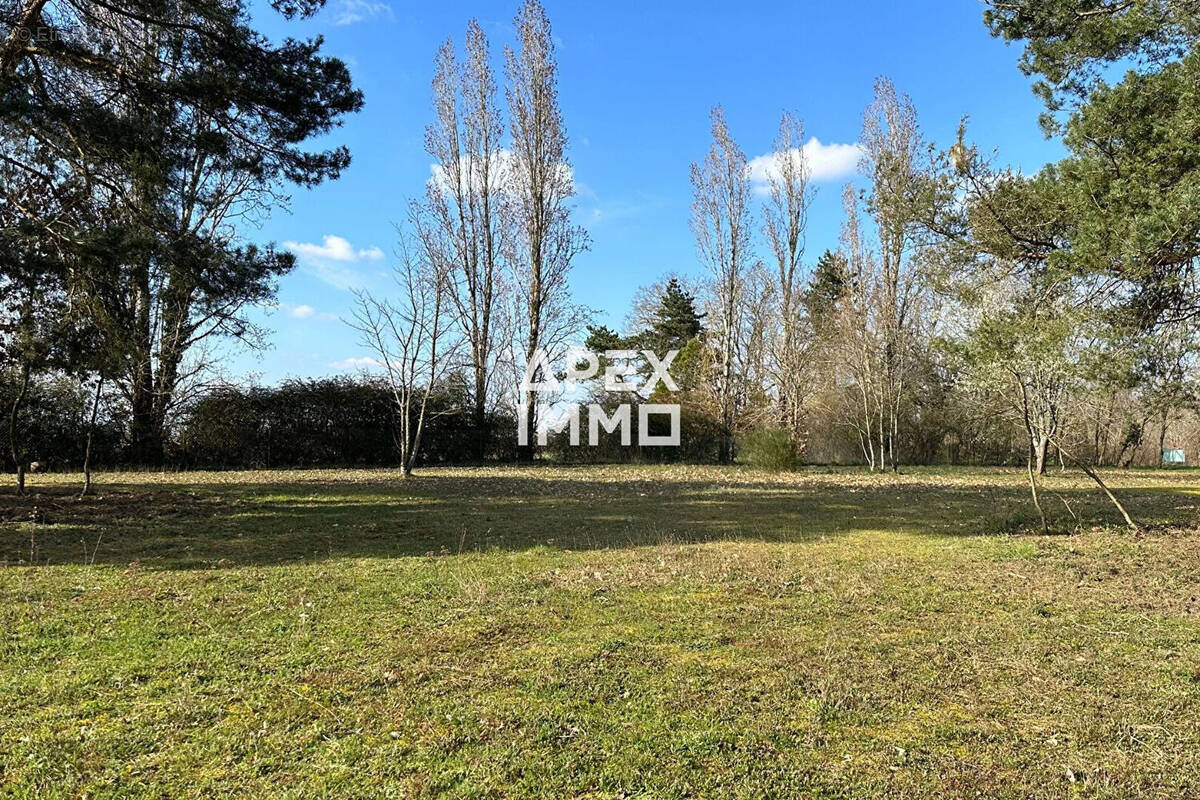 Terrain à SAINT-DENIS-DE-L&#039;HOTEL