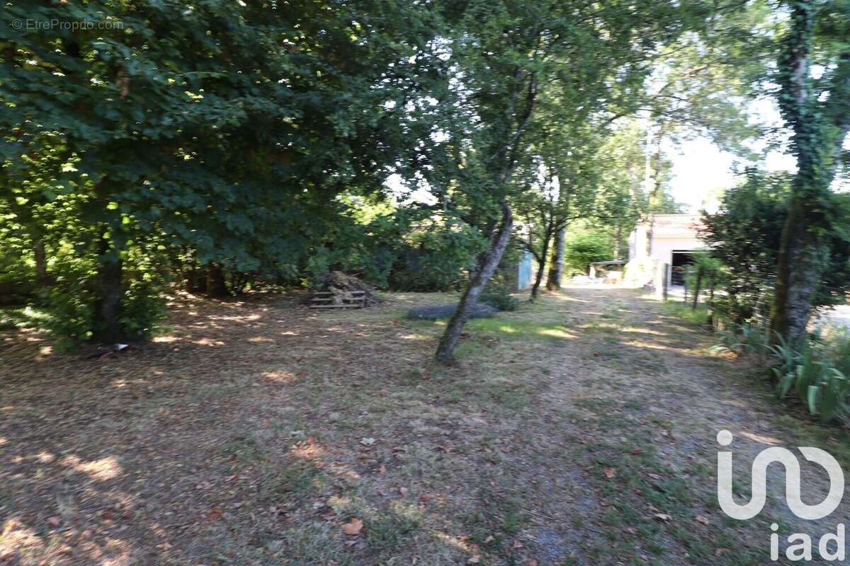 Photo 7 - Maison à ORIGNOLLES