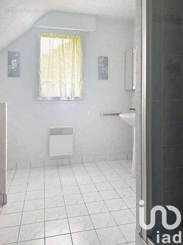 Photo 5 - Maison à SAINT-PHILIBERT