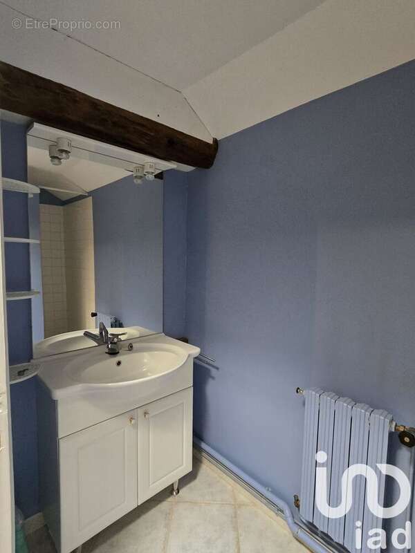 Photo 7 - Maison à TOUR-EN-SOLOGNE