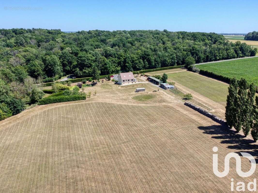 Photo 3 - Maison à CHEZY-SUR-MARNE