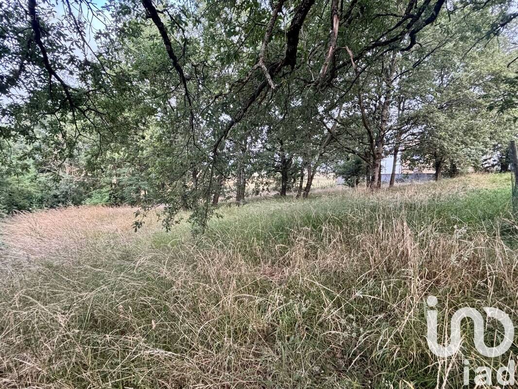 Photo 1 - Terrain à LE GRES