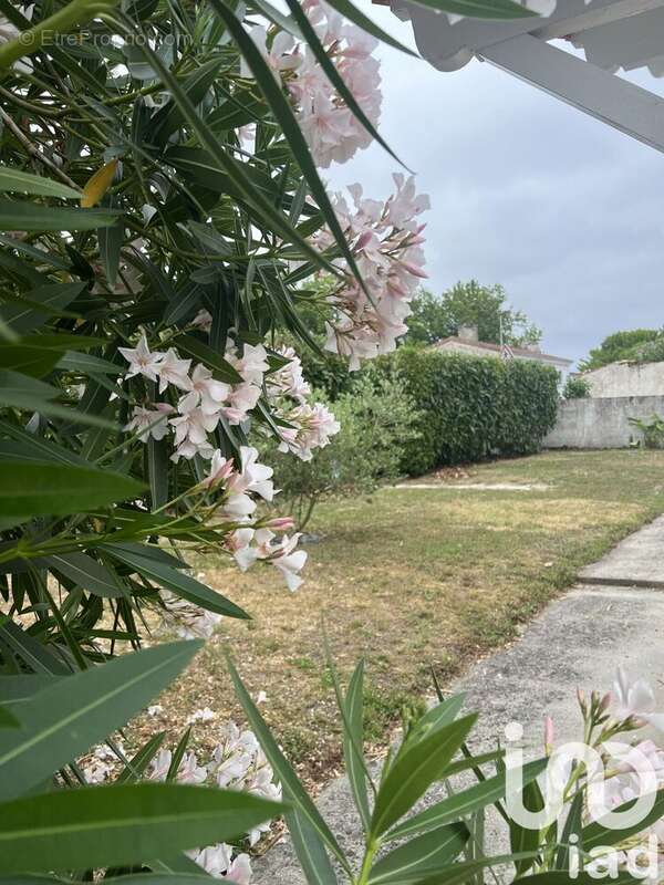 Photo 2 - Maison à SAINT-SULPICE-DE-ROYAN