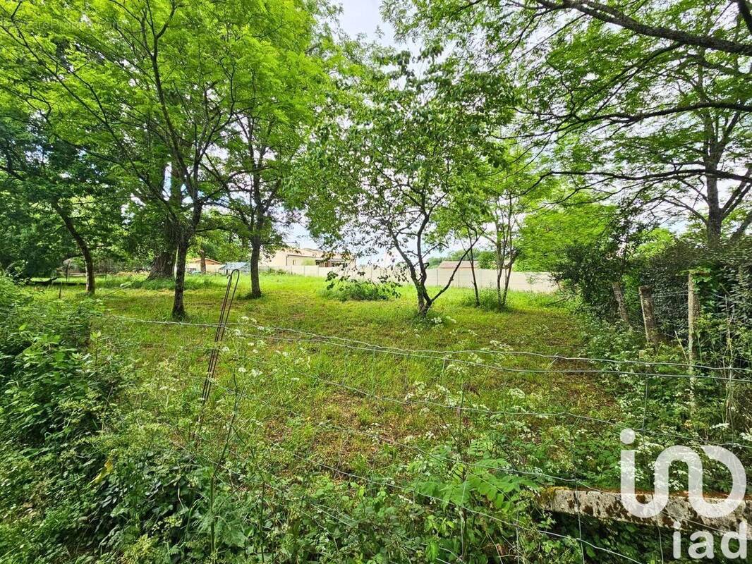 Photo 1 - Terrain à QUEYRAC