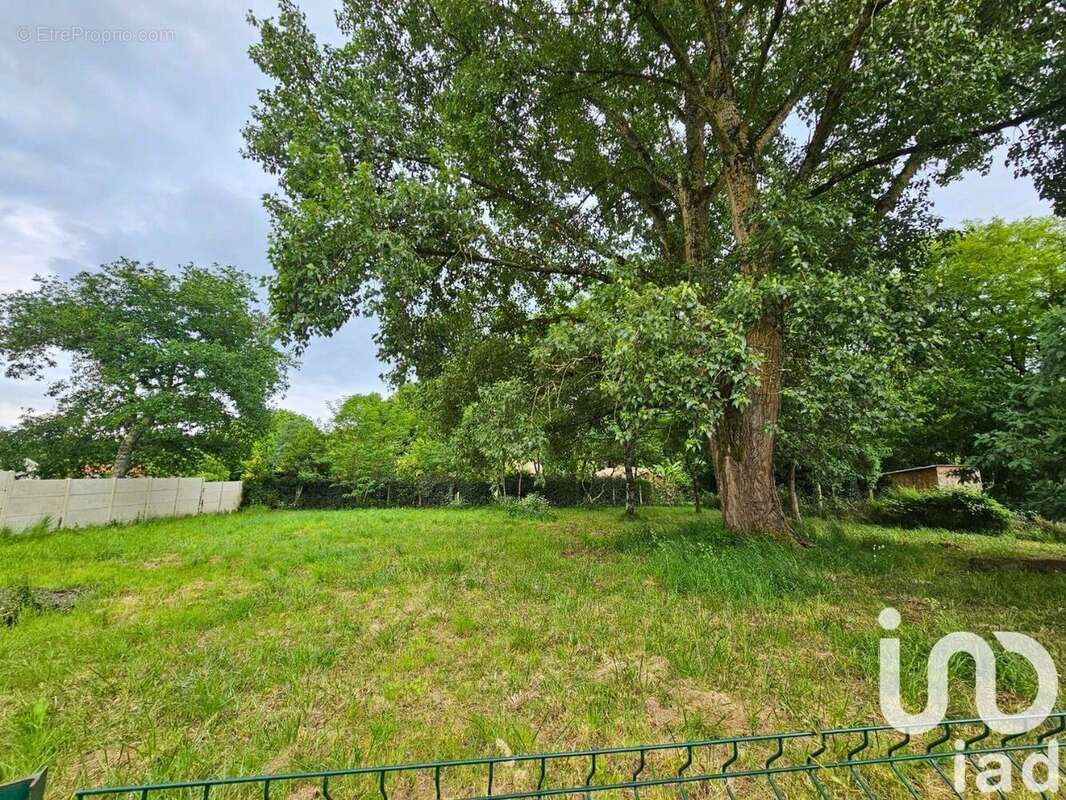 Photo 2 - Terrain à QUEYRAC