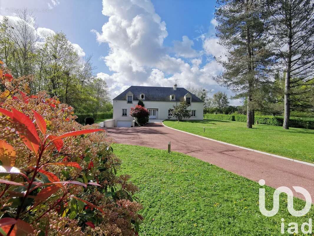 Photo 3 - Maison à MONTEREAU