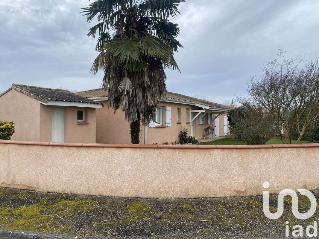 Photo 6 - Maison à MONTAUBAN