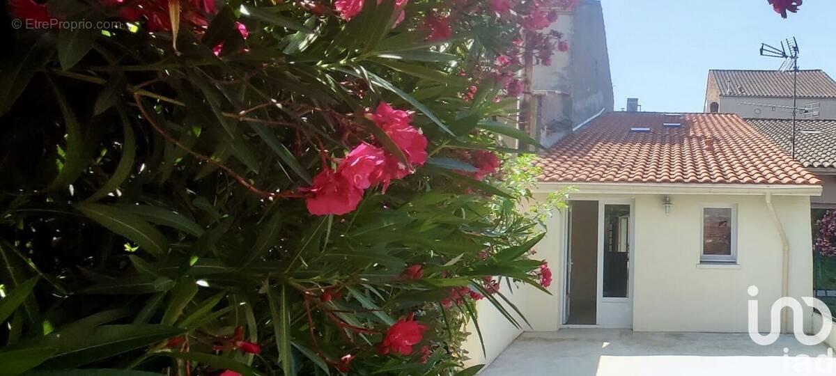 Photo 1 - Maison à SAINTE-LIVRADE-SUR-LOT