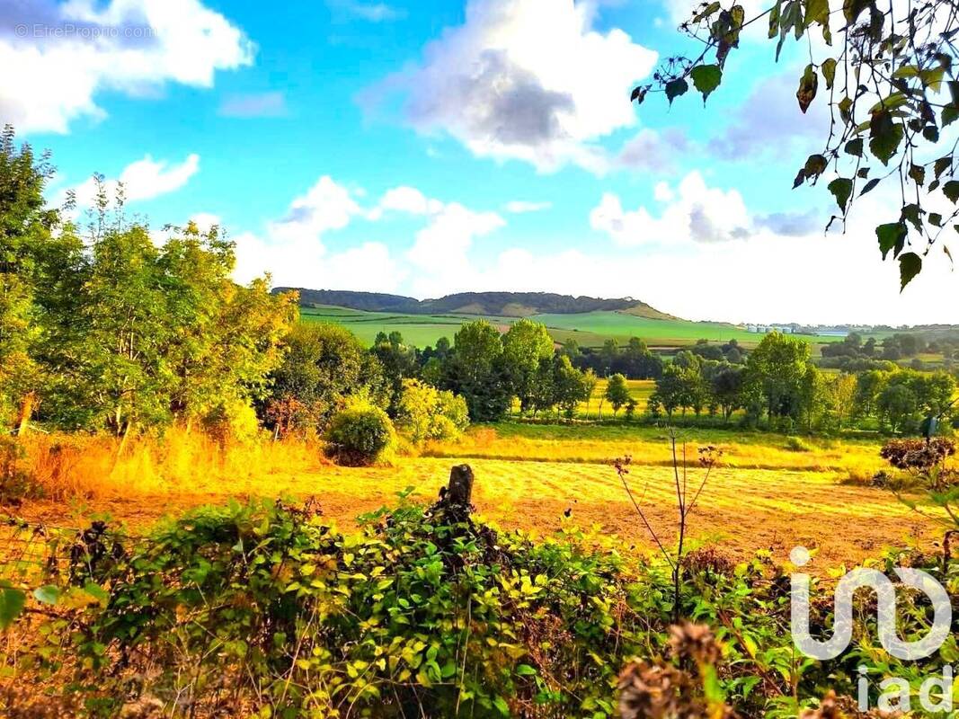 Photo 1 - Terrain à SAINT-VAAST-D&#039;EQUIQUEVILLE