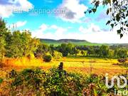 Photo 1 - Terrain à SAINT-VAAST-D&#039;EQUIQUEVILLE