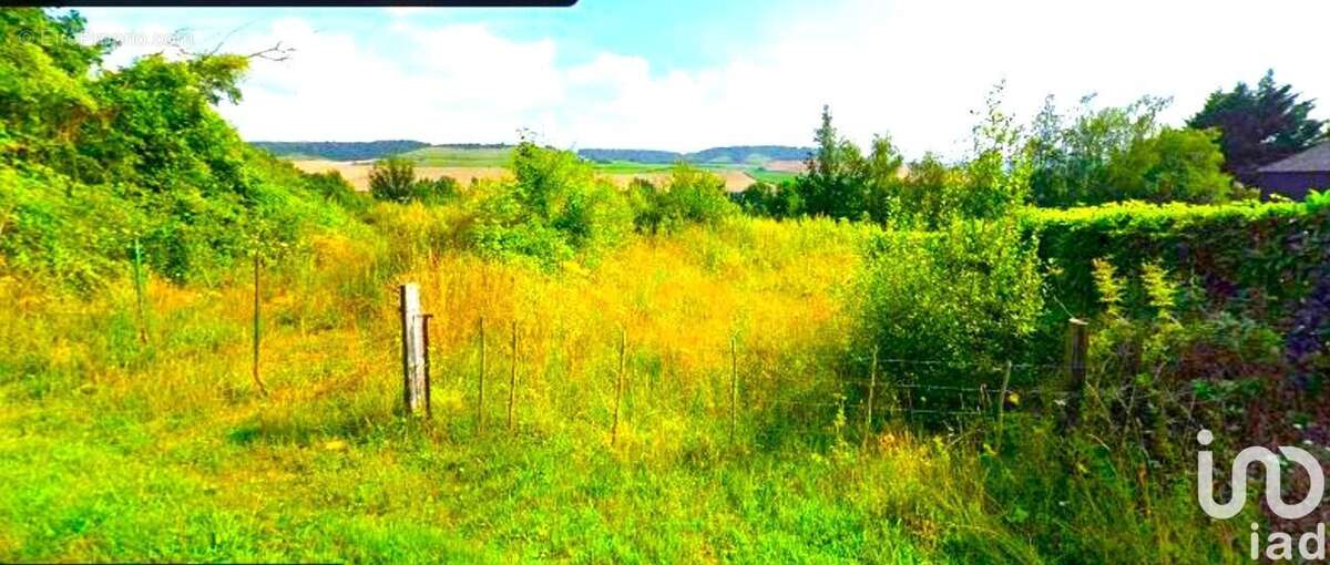 Photo 7 - Terrain à SAINT-VAAST-D&#039;EQUIQUEVILLE