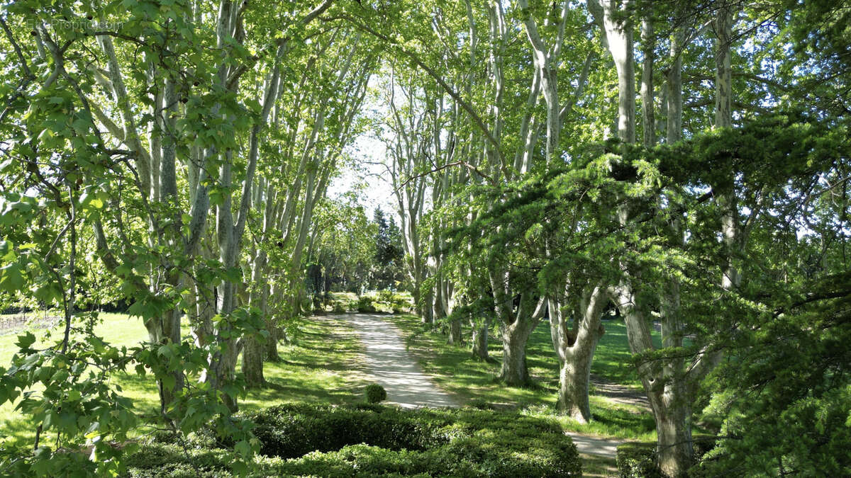 Maison à BEAUMES-DE-VENISE