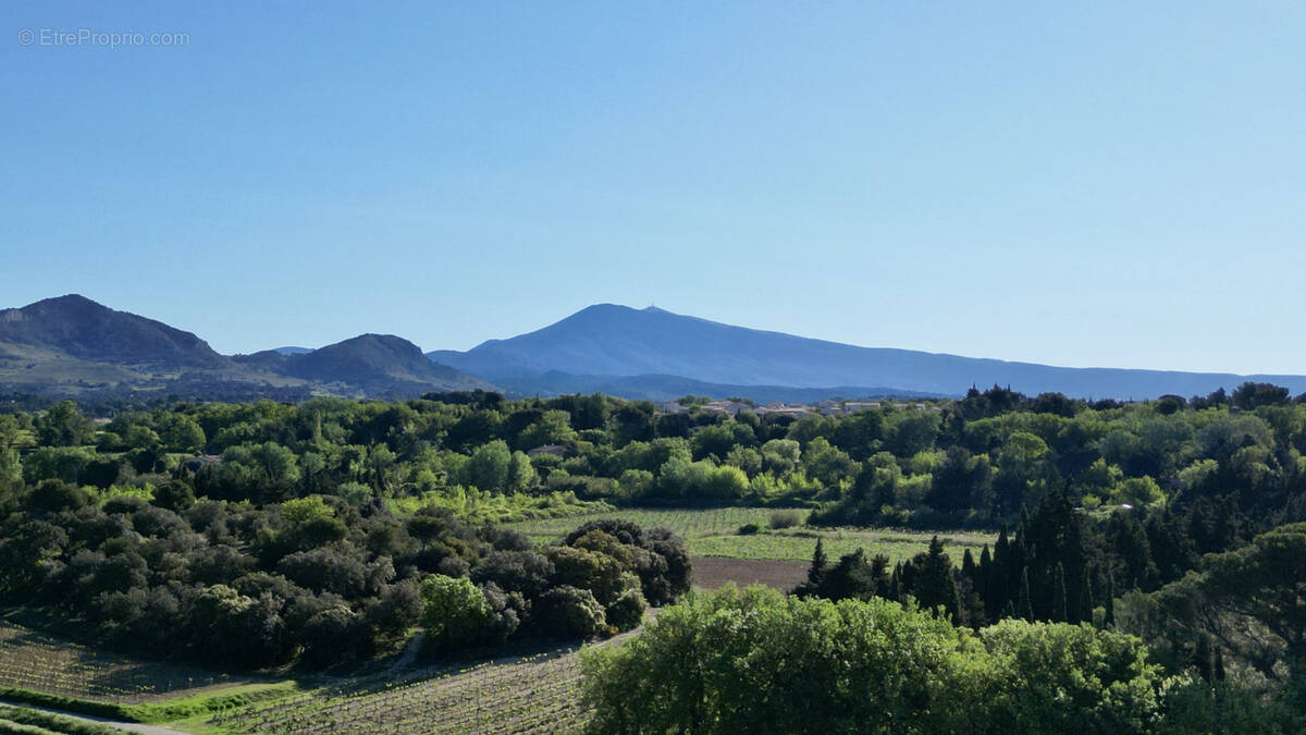 Maison à BEAUMES-DE-VENISE