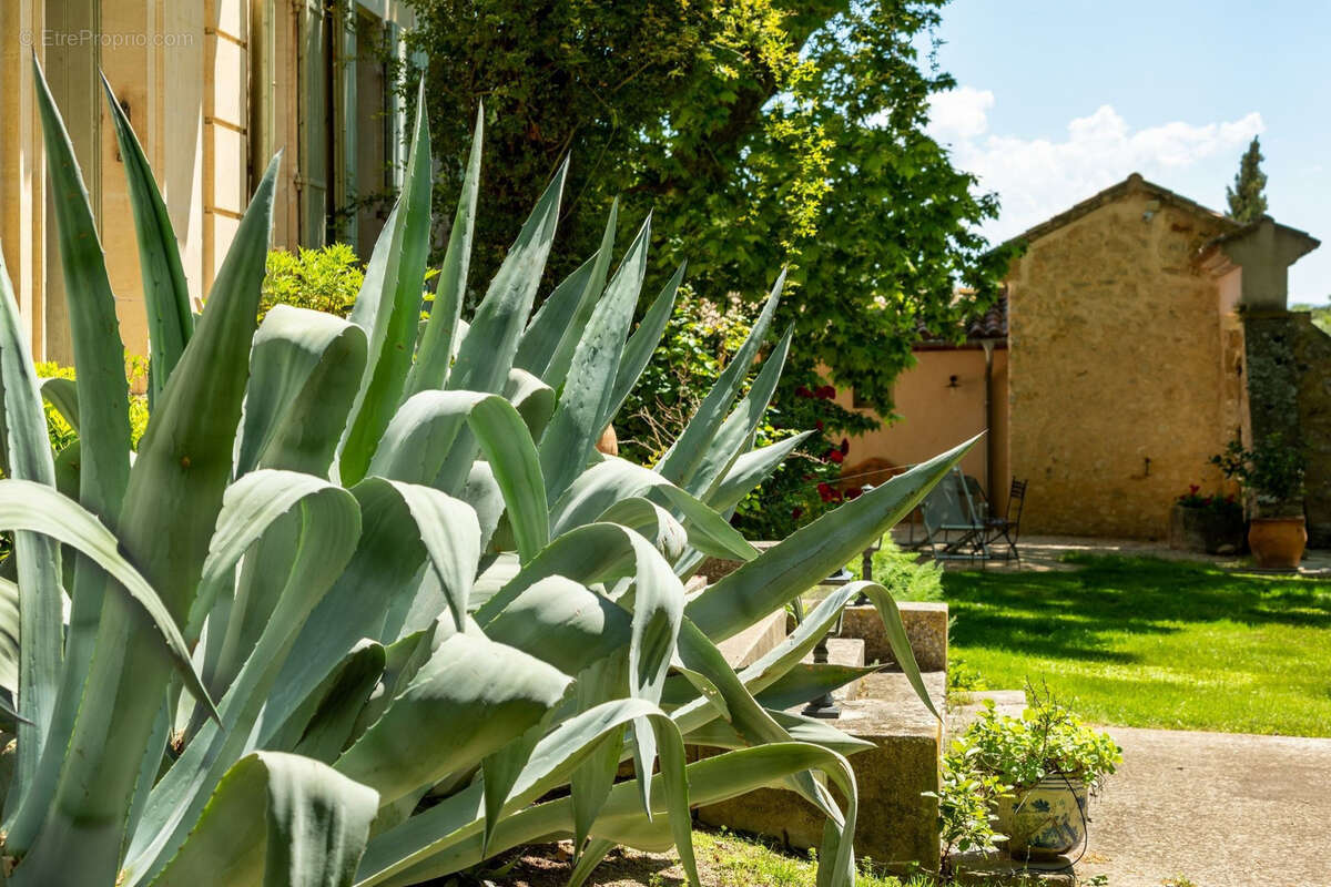 Maison à BEAUMES-DE-VENISE
