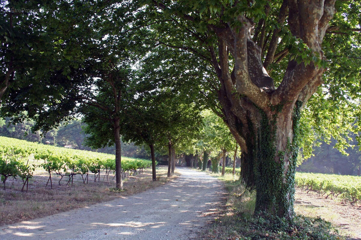 Maison à SAINT-RESTITUT