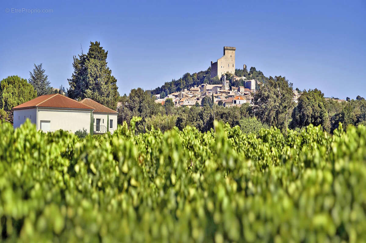 Autre à CHATEAUNEUF-DU-PAPE