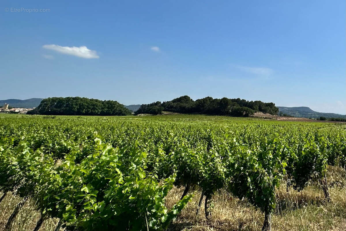 Maison à LAUDUN-L&#039;ARDOISE