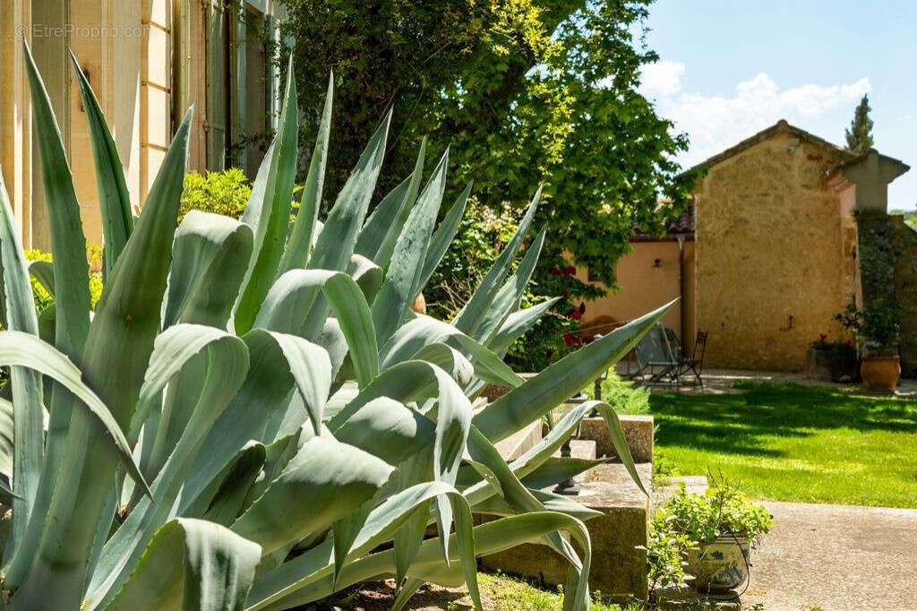Maison à BEAUMES-DE-VENISE