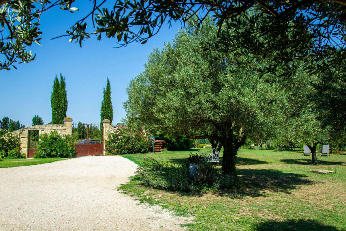 Maison à CHATEAUNEUF-DU-PAPE