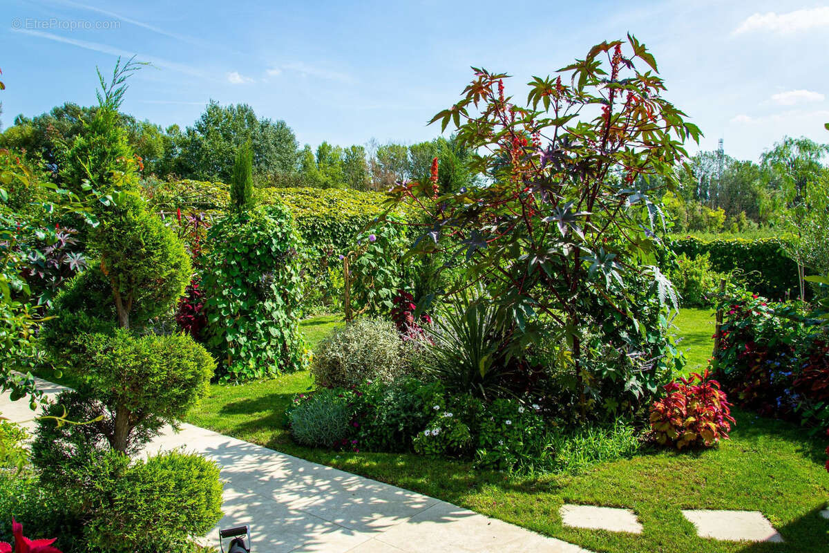 Maison à CHATEAUNEUF-DU-PAPE