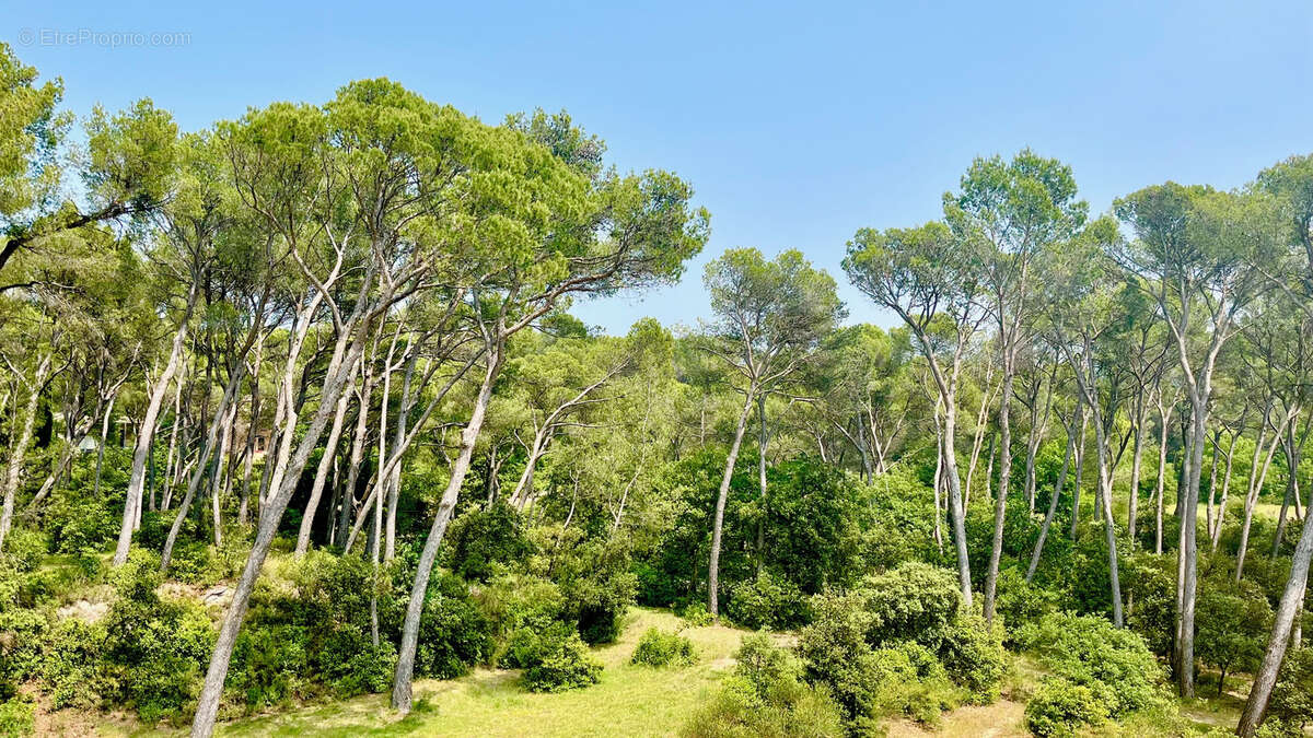 Maison à L&#039;ISLE-SUR-LA-SORGUE