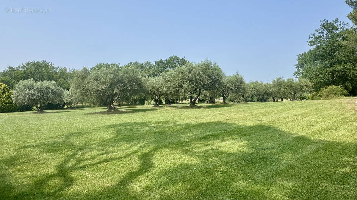 Maison à L&#039;ISLE-SUR-LA-SORGUE