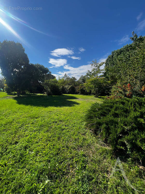 Terrain à SAINT-JULIEN-SUR-GARONNE