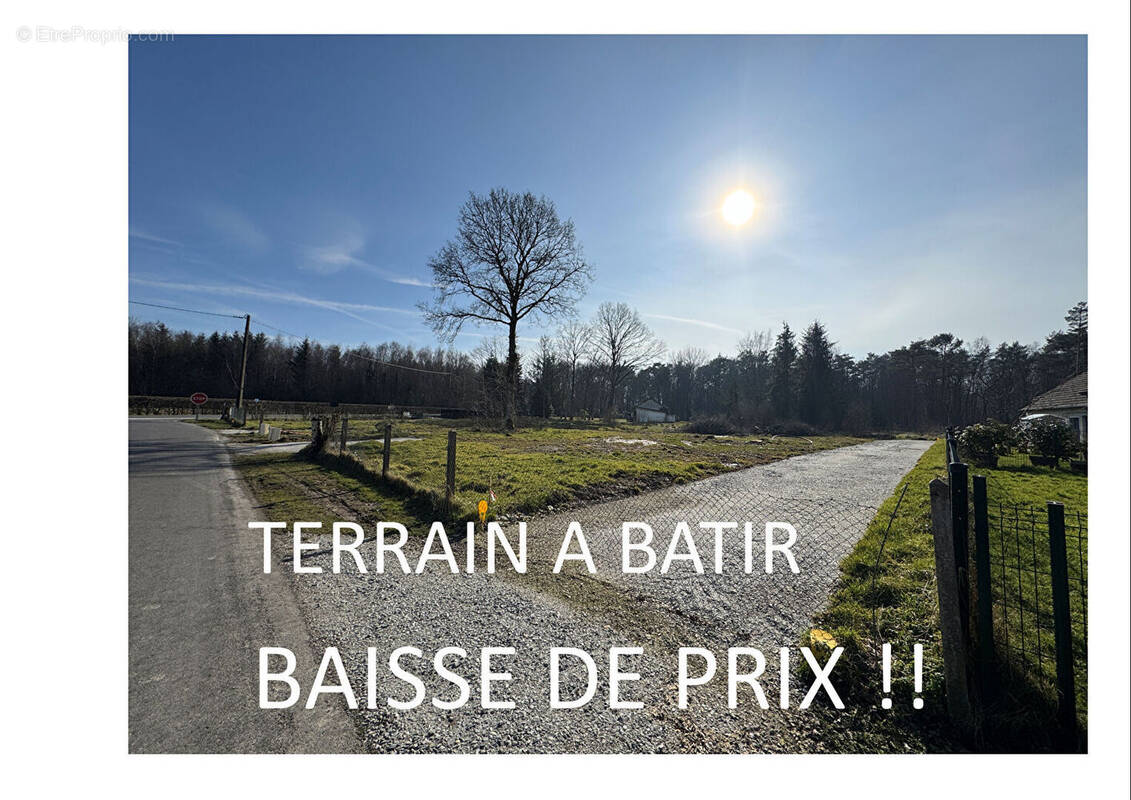 Terrain à LA FERTE-FRENEL