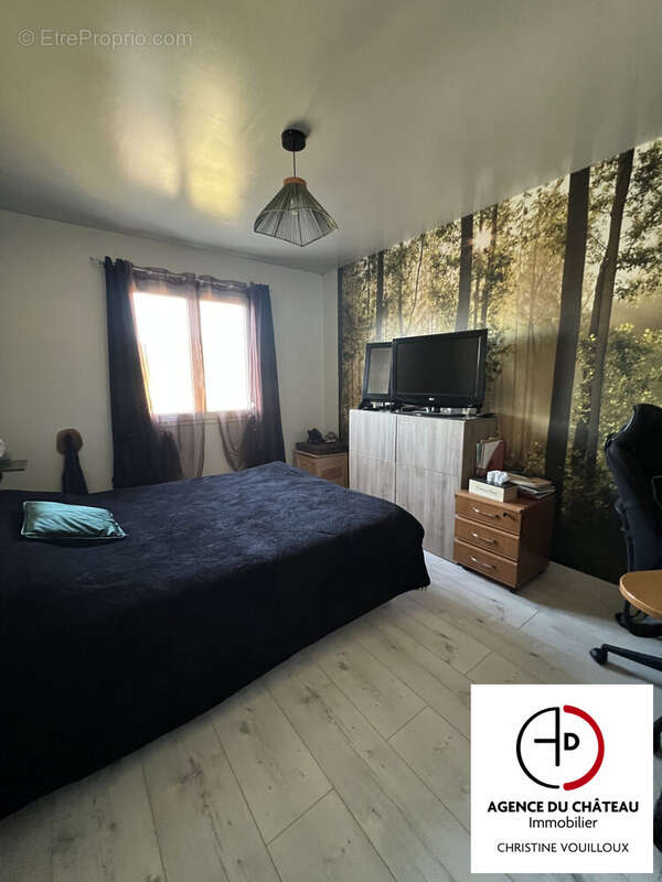 Maison à BRAY-EN-VAL