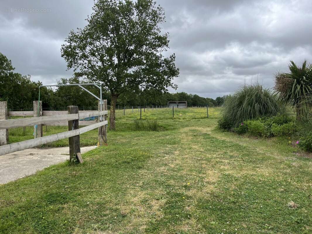 Commerce à LA CHAPELLE-LAUNAY