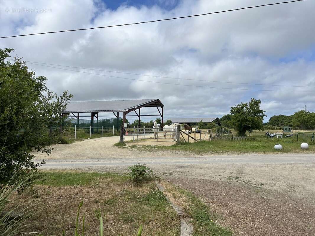 Commerce à LA CHAPELLE-LAUNAY