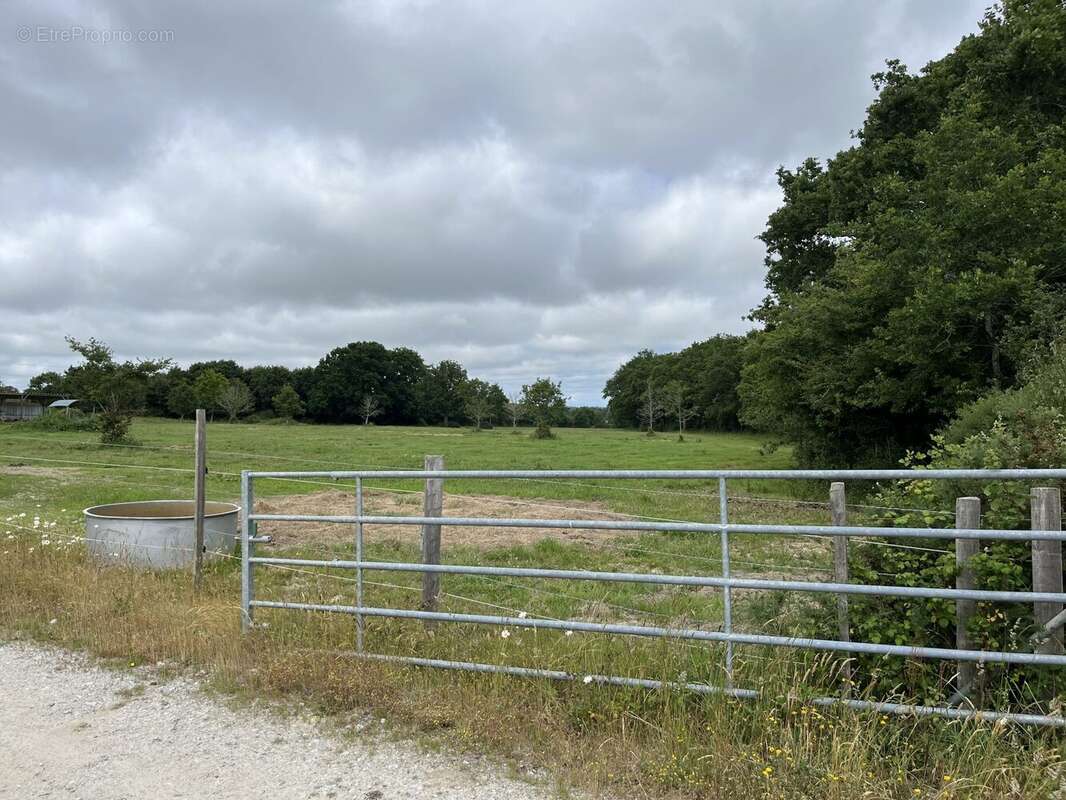 Commerce à LA CHAPELLE-LAUNAY