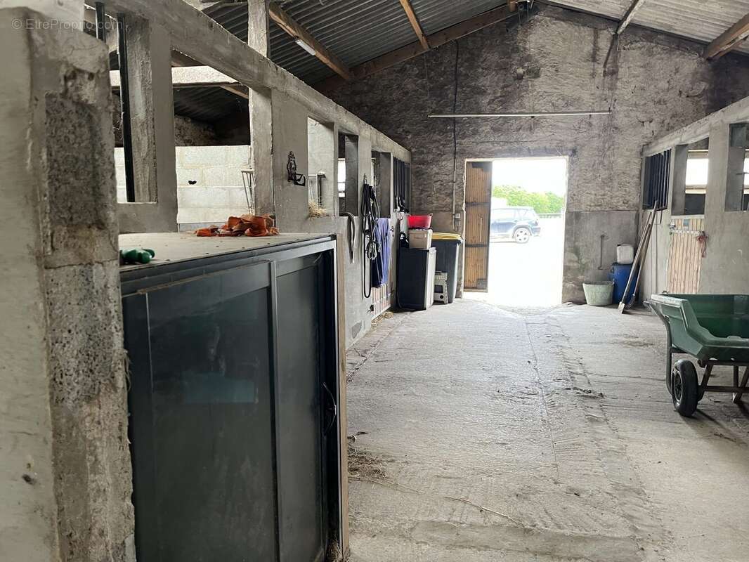 Commerce à LA CHAPELLE-LAUNAY