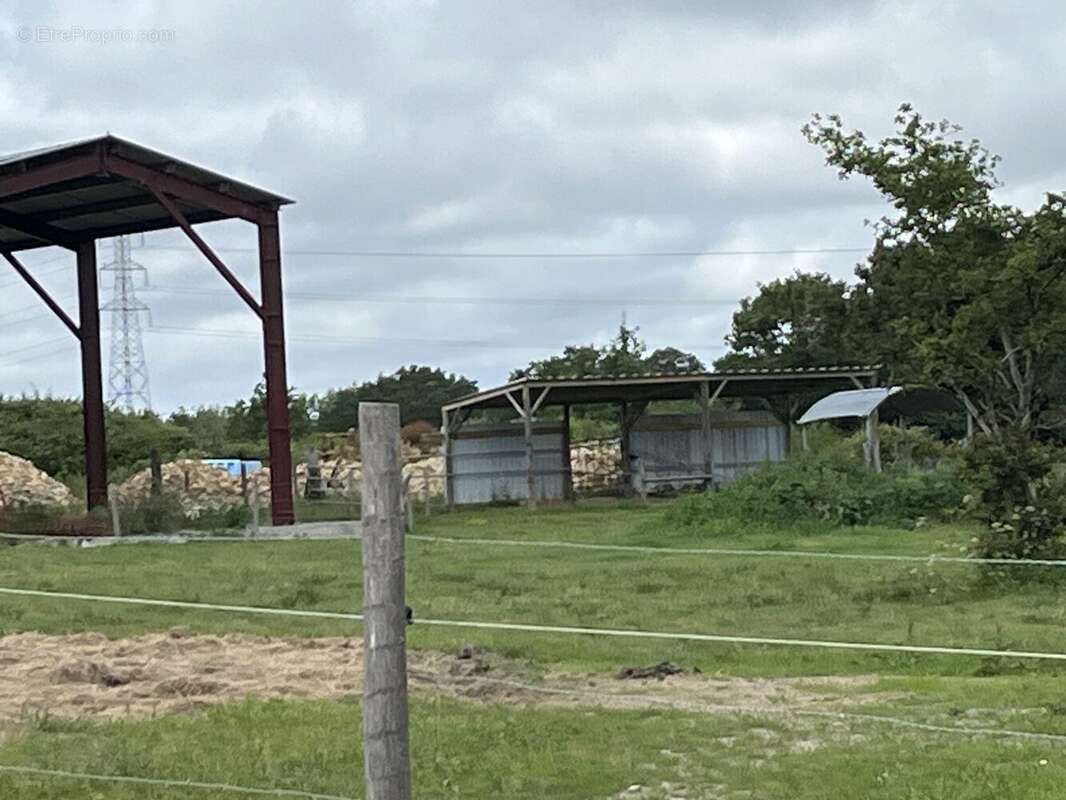Commerce à LA CHAPELLE-LAUNAY