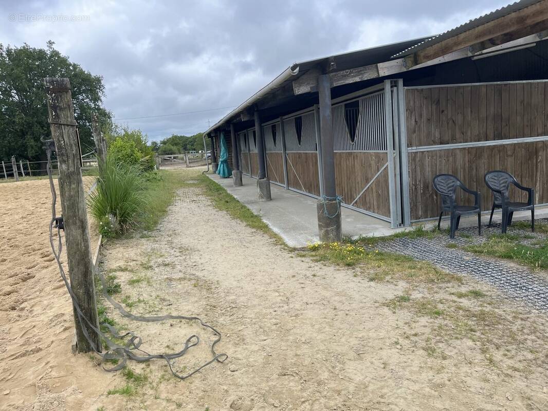 Commerce à LA CHAPELLE-LAUNAY
