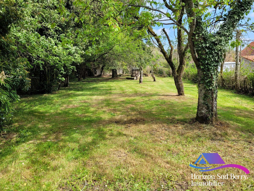 Jardin - Maison à THEVET-SAINT-JULIEN