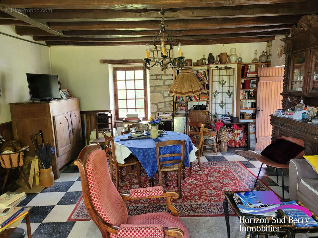 Séjour - Maison à THEVET-SAINT-JULIEN