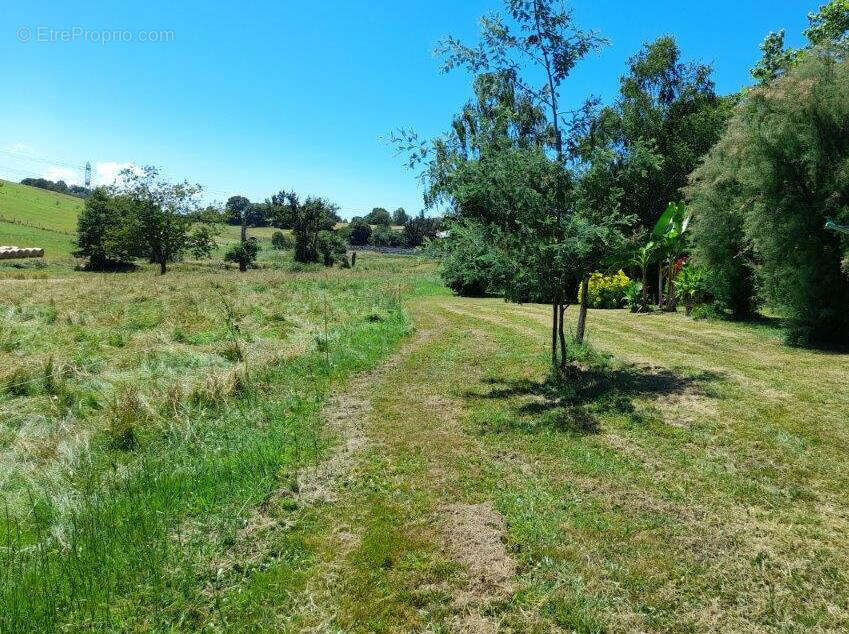 Maison à PUYDARRIEUX