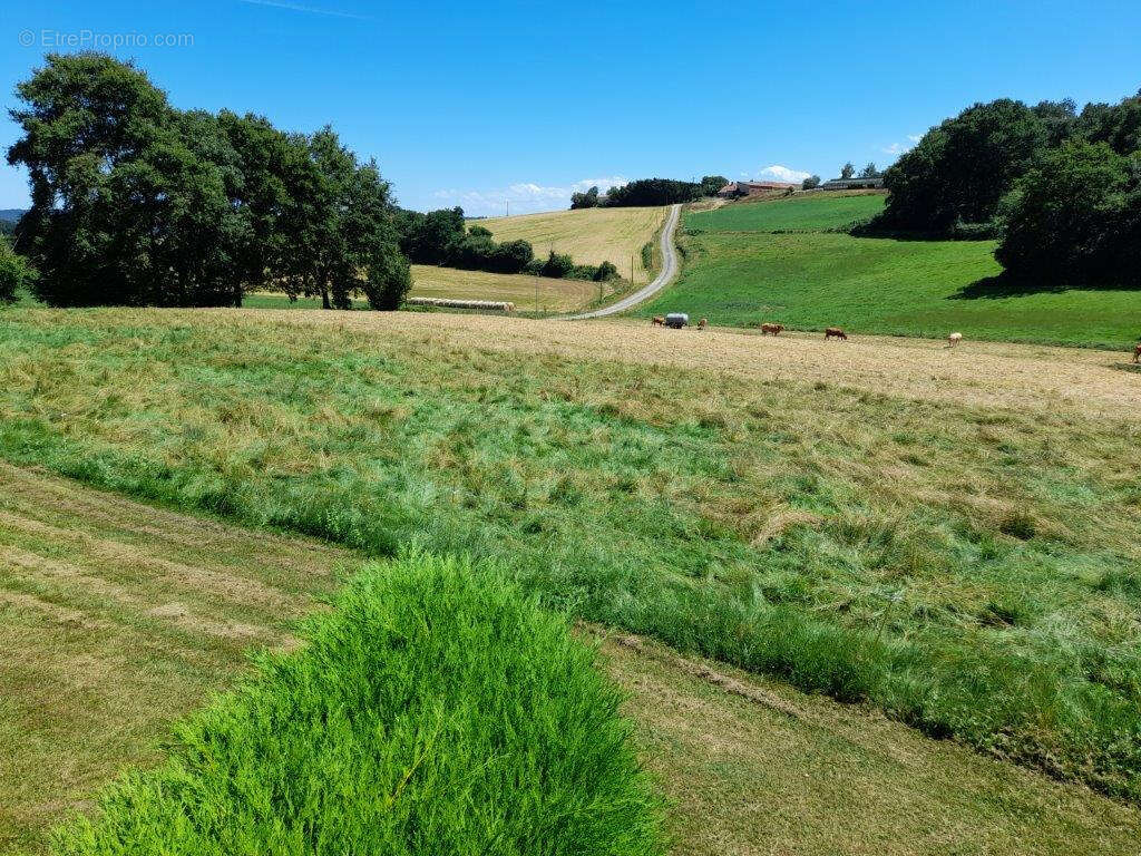 Maison à PUYDARRIEUX