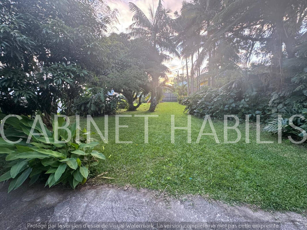 Terrain à PETITE-ILE