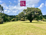 Terrain à PETIT-BOURG