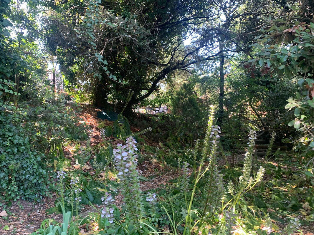 Maison à POUGNADORESSE