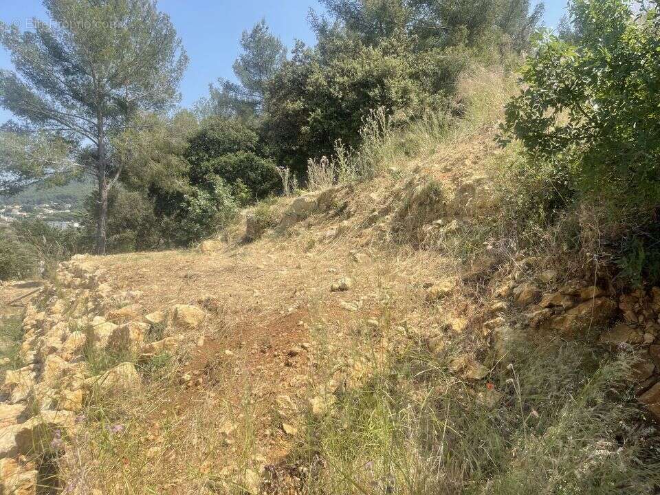 Terrain à LE REVEST-LES-EAUX