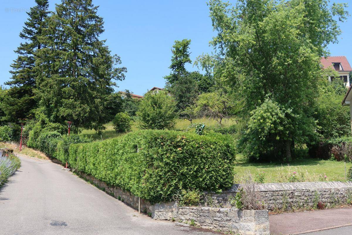 Terrain à MISEREY-SALINES